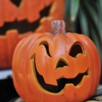 FEATURES_TimeTo_Pumpkin_Carved_sh_107199038