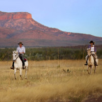TRAVEL_Australia_Kimberley_Home_Valley_Station_Horses1_iescapes
