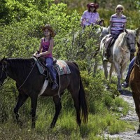 TRAVEL_USA_Florida_Westgate_River_Ranch_Resort_ Horseback_Ride